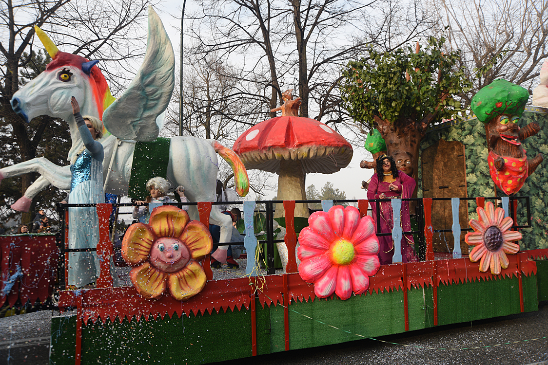 Sfilata carri Carnevale di Torino_137.jpg